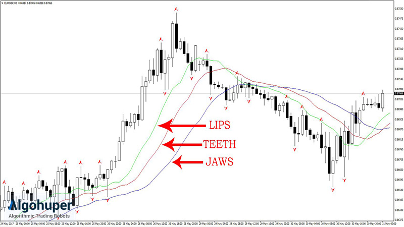 ترکیب اندیکاتور فرکتال و تمساح