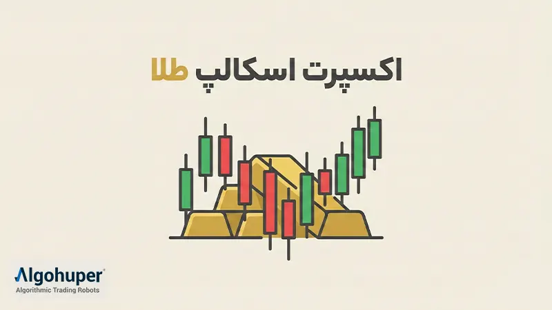 اکسپرت اسکالپ طلا چیست