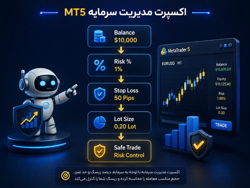نحوه کار اکسپرت مدیریت سرمایه متاتریدر 5